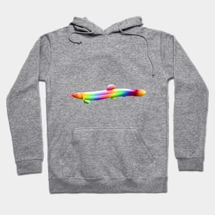 Rainbow Loach Hoodie